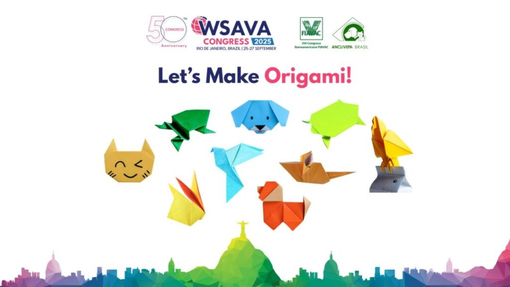 origami-guide-wsava-2025